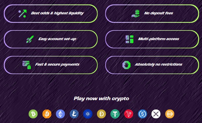 Homepage with the offer promises