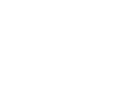 MAD MARKET